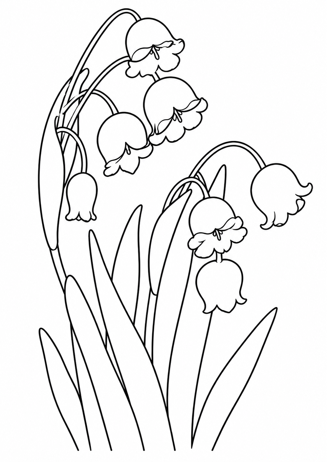 Lily of the valley flowers and leaves printable coloring page