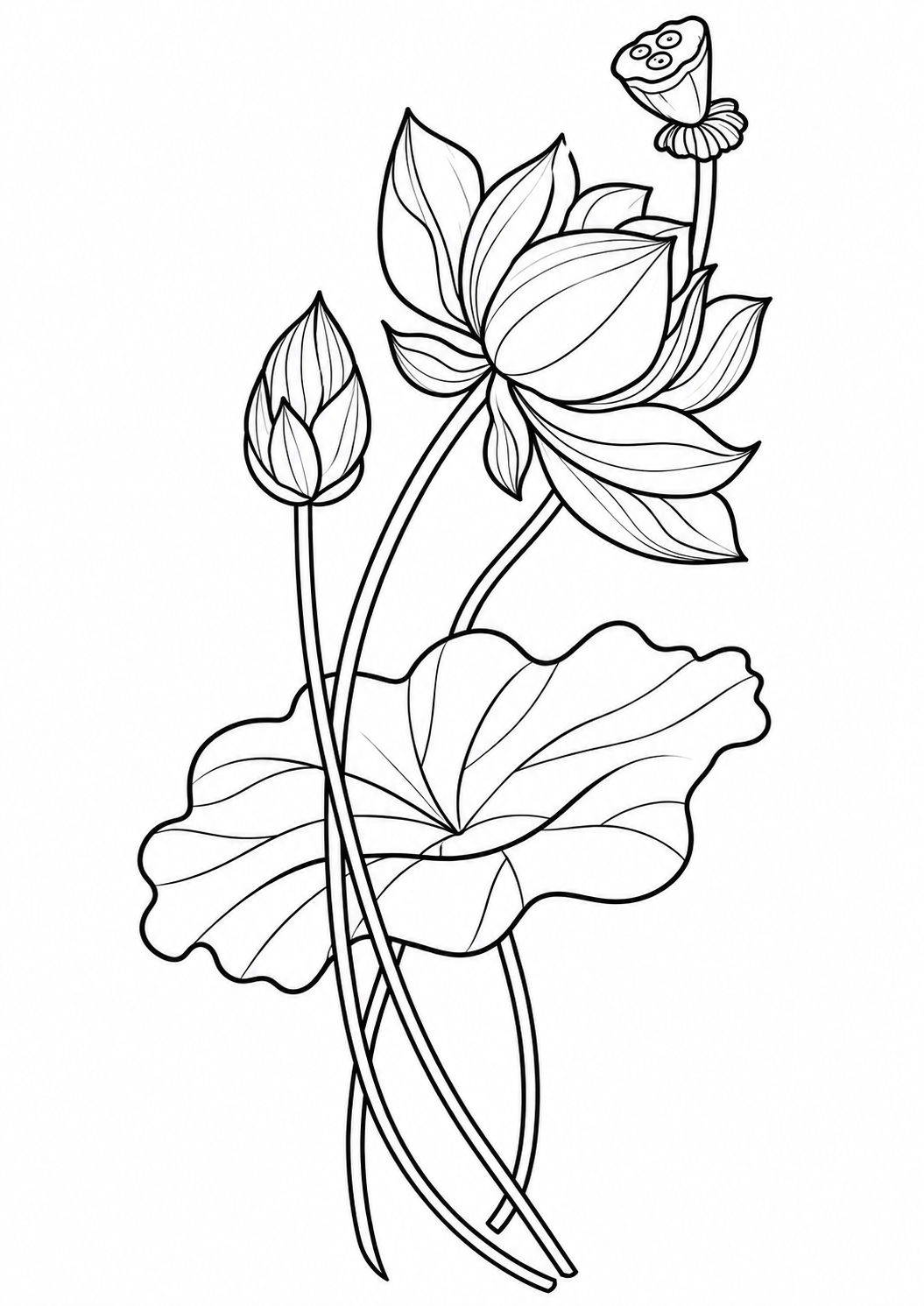 Pink lotus flower, bud, leaf, and seed pod printable coloring page